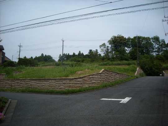 Local land photo. Whole from the southwest side