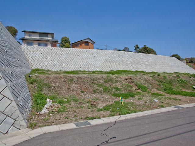 Local land photo