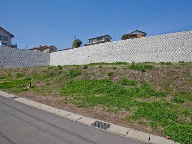 Local land photo