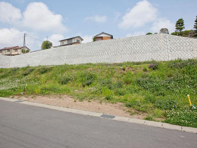Local land photo
