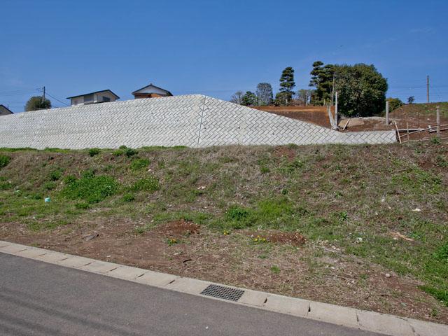 Local land photo