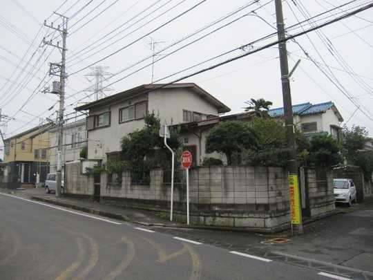 Local land photo. Appearance 1
