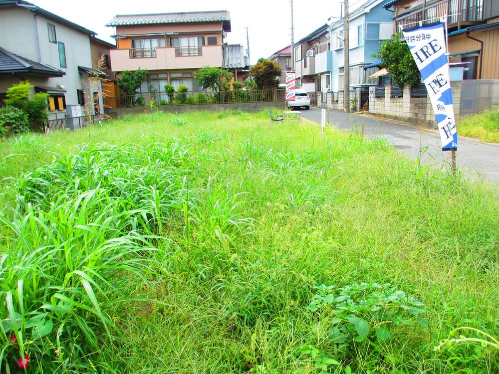 Local land photo. Local (September 2013) Shooting