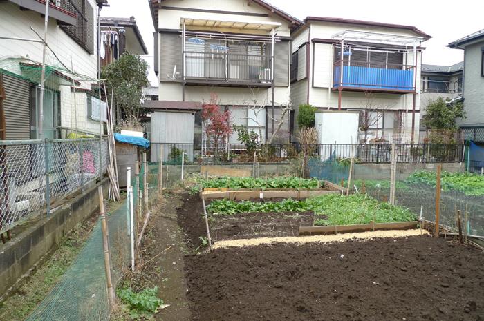 Local land photo. Local (12 May 2012) shooting