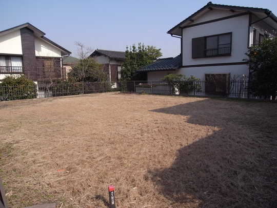 Local land photo