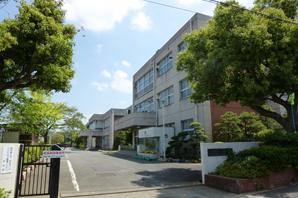 Sakura Mano stand elementary school