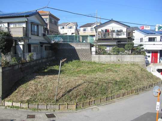 Local land photo. appearance