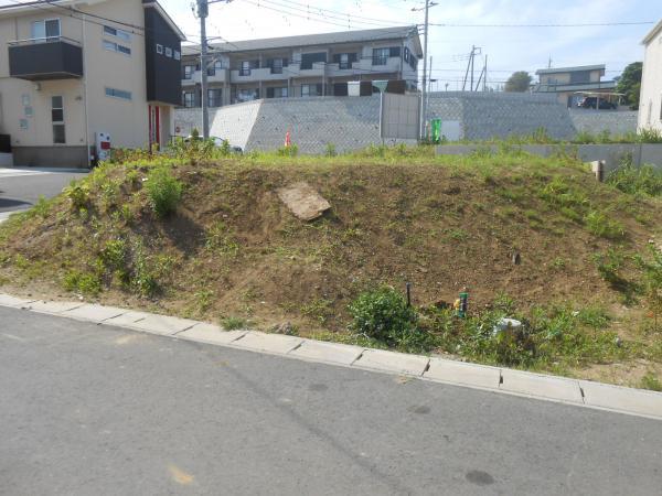 Local land photo