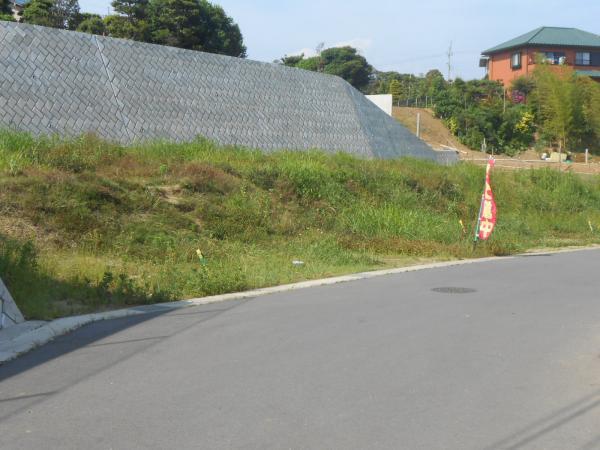Local land photo