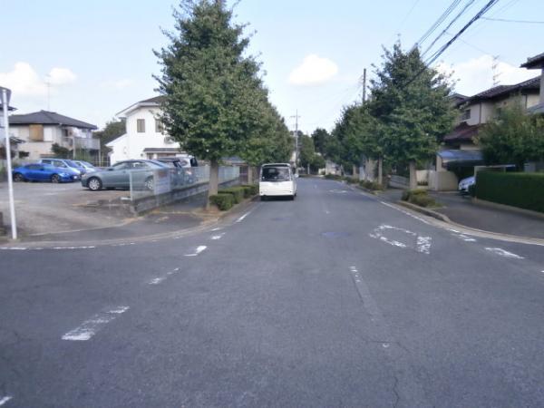 Local land photo