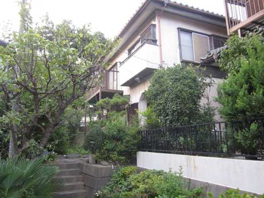 Local land photo. Appearance 1