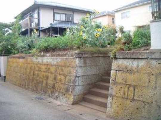 Local land photo