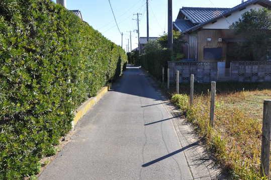 Local photos, including front road