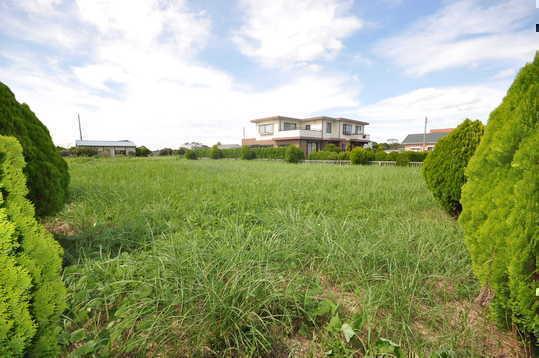 Other. Kujukuri Ao land