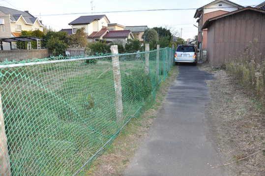 Local photos, including front road