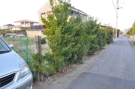 Local photos, including front road