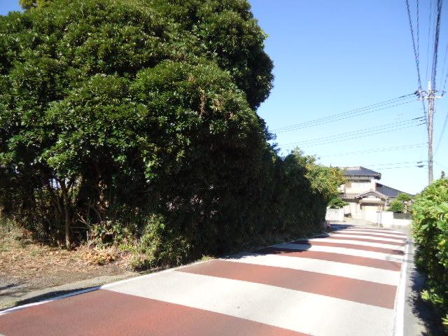 Local photos, including front road. East side road
