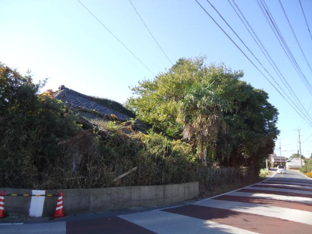 Local photos, including front road. Photos from the north