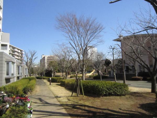 Other local
