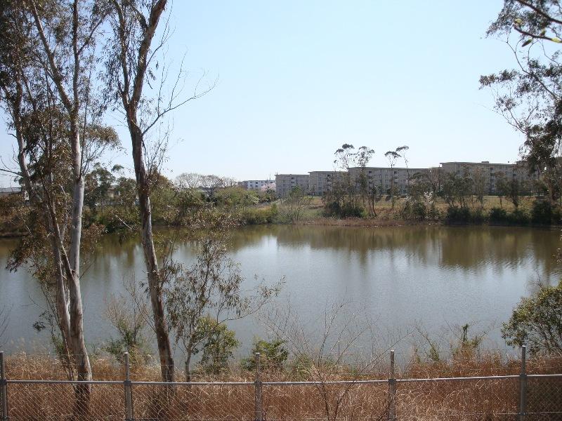 Other. Seventh order river regulating pond (swan flying land) to 1500m (19 minutes walk)