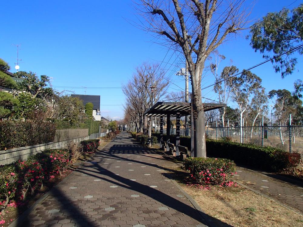 Local land photo. Local sidewalk (December 2014) Shooting Pedestrian road leading to KitaSosen "west Shirai Station"