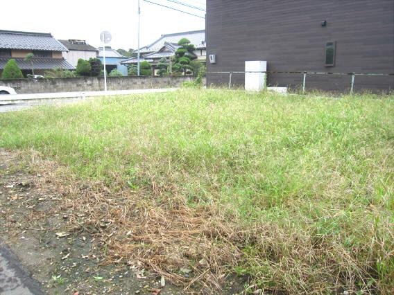 Local land photo. local