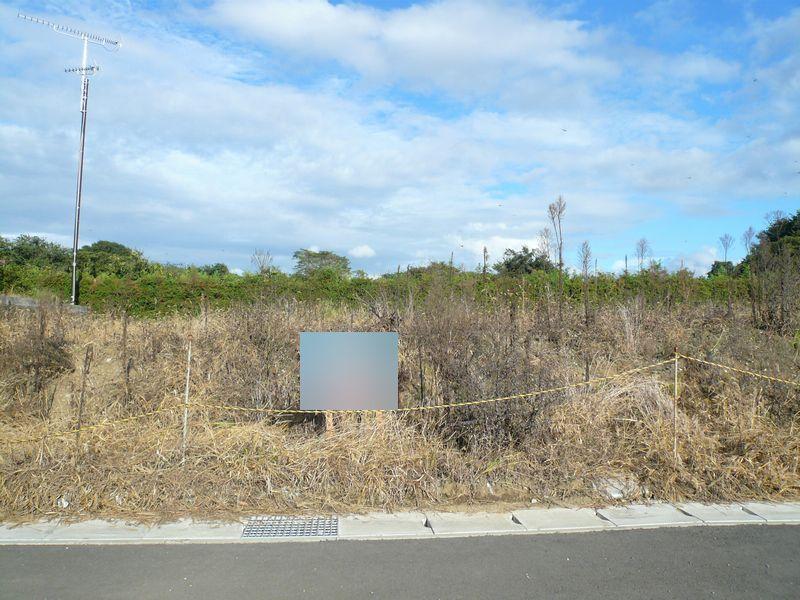 Local land photo. Local Photo 2