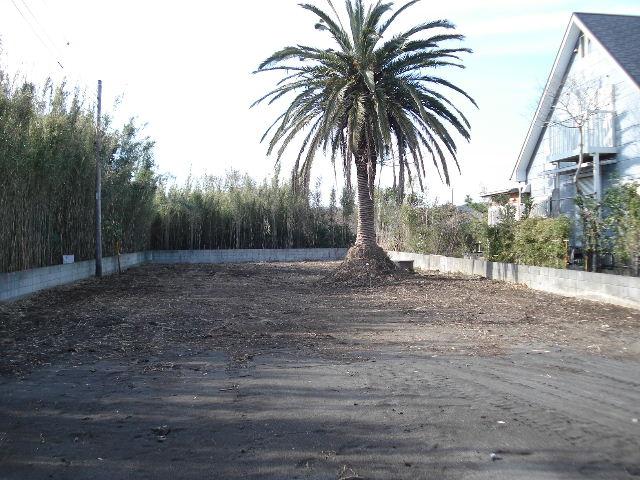 Local land photo. Local Photos