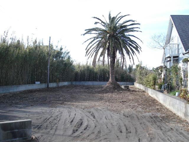 Local land photo. Local Photos