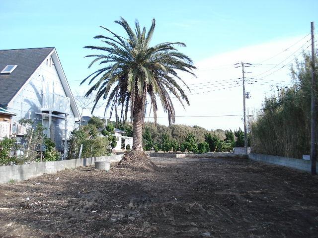 Other local. Local Photos