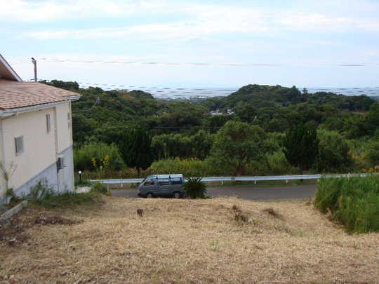 Local land photo