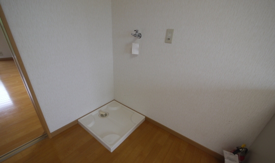 Other room space. Laundry Area