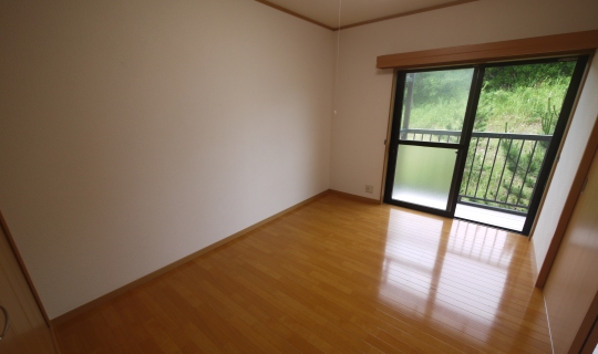 Living and room. Western-style 1