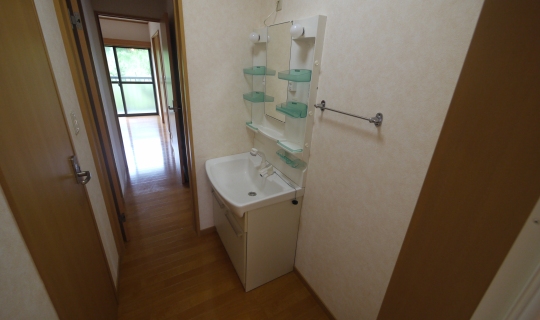 Washroom. Basin dressing room