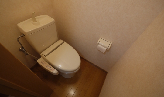 Toilet. Toilet (with washlet)