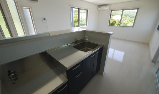 Kitchen. Open kitchen