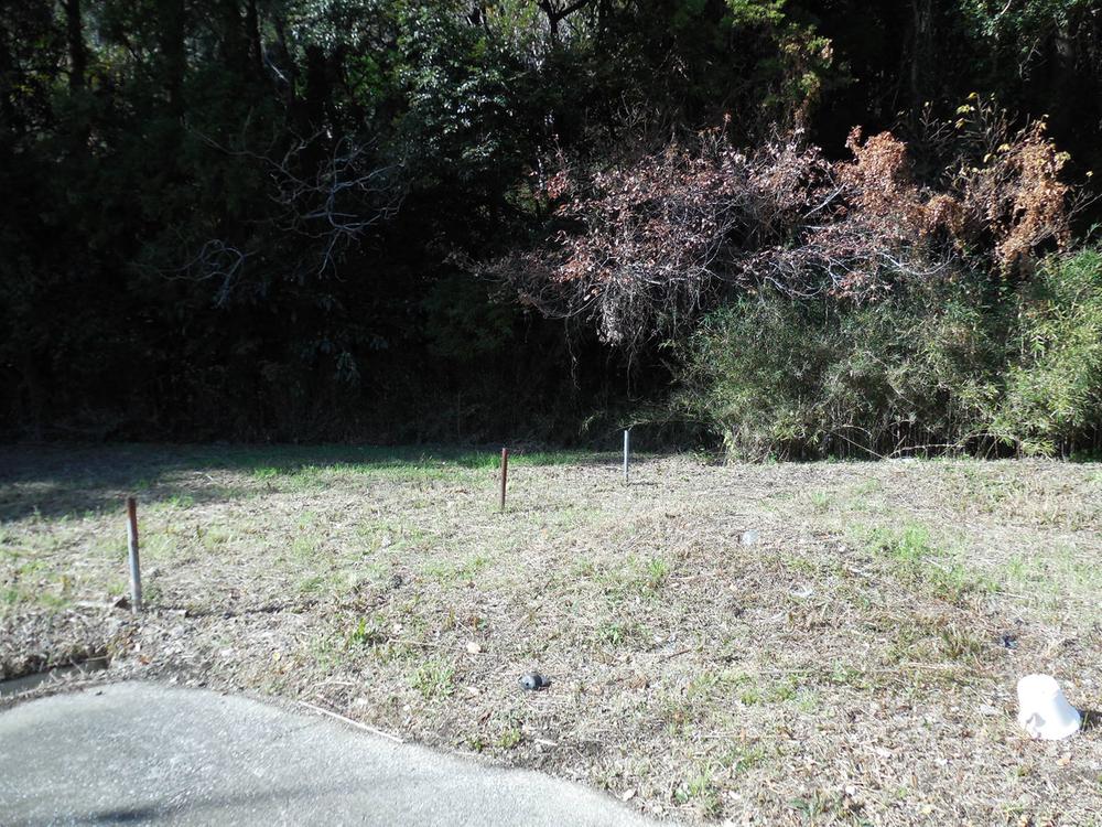 Local land photo. Local (12 May 2013) Shooting