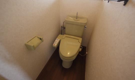 Toilet. Toilet