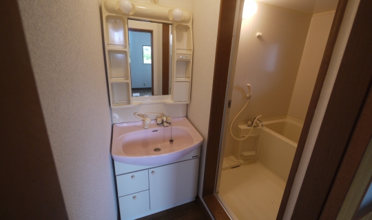 Washroom. Wash basin