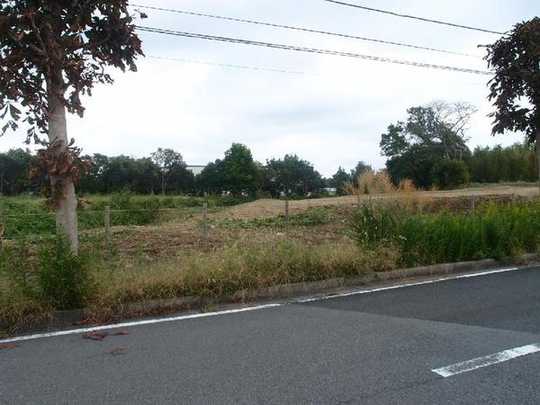 Local land photo. Local Photos