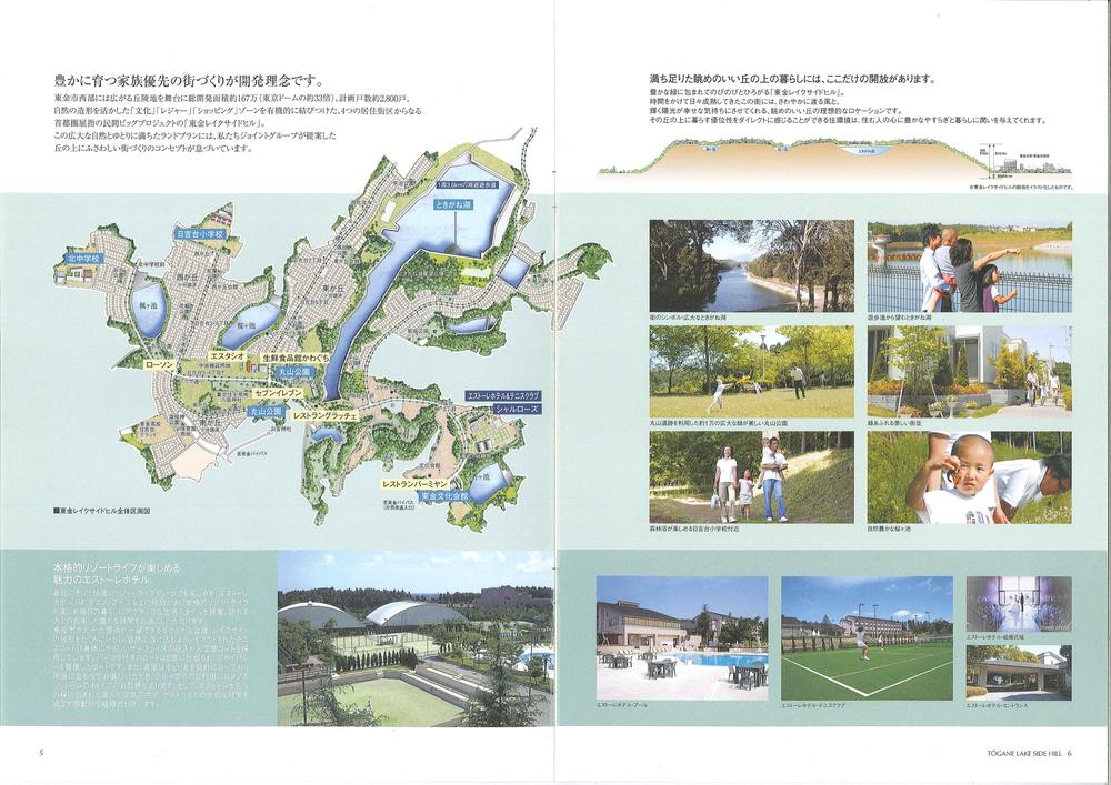 Other. Fun-filled in nature!