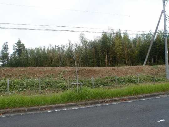 Local land photo. Local Photos