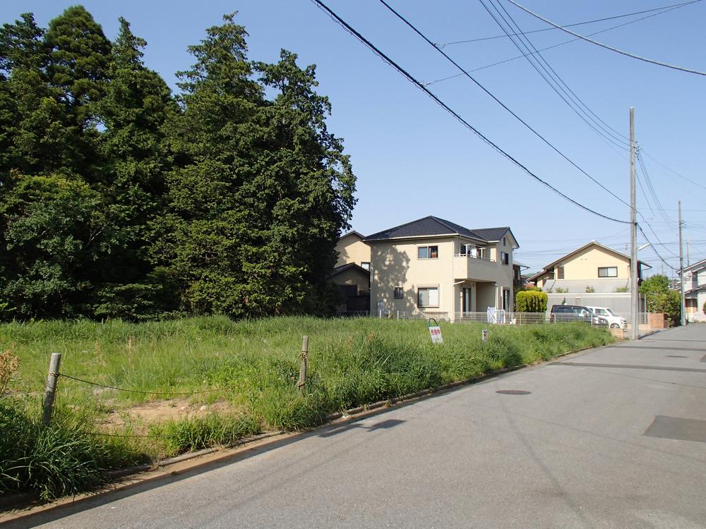 Local photos, including front road