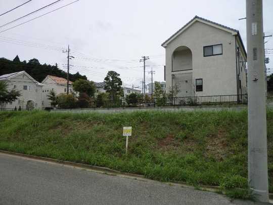 Local land photo. Local photo (from the northeast side)