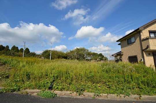 Local land photo. Local Photos