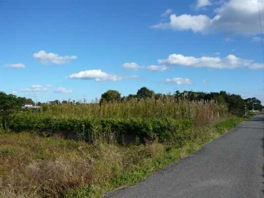 Local land photo. Local appearance