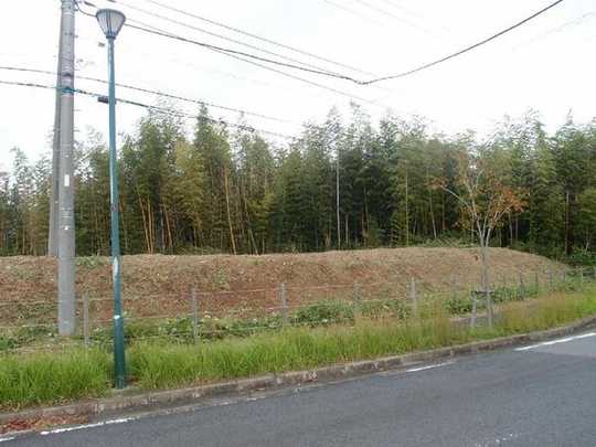 Local land photo. Local Photos