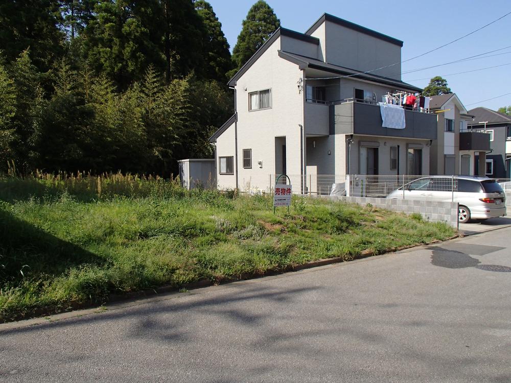 Local photos, including front road