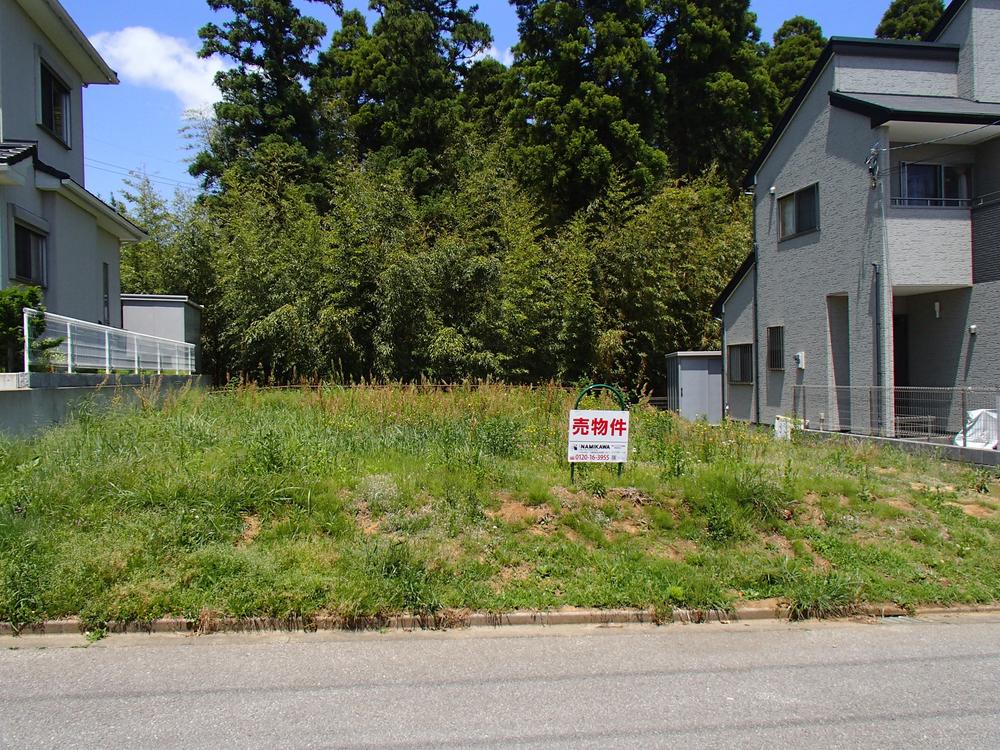 Local land photo. Local Photos