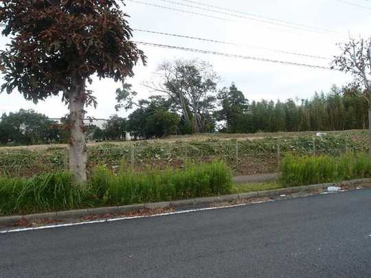 Local land photo. Local Photos